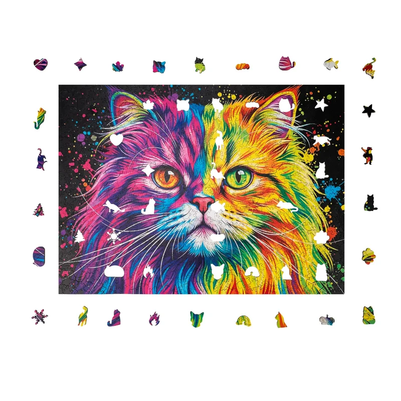 Bunte Perserkatze