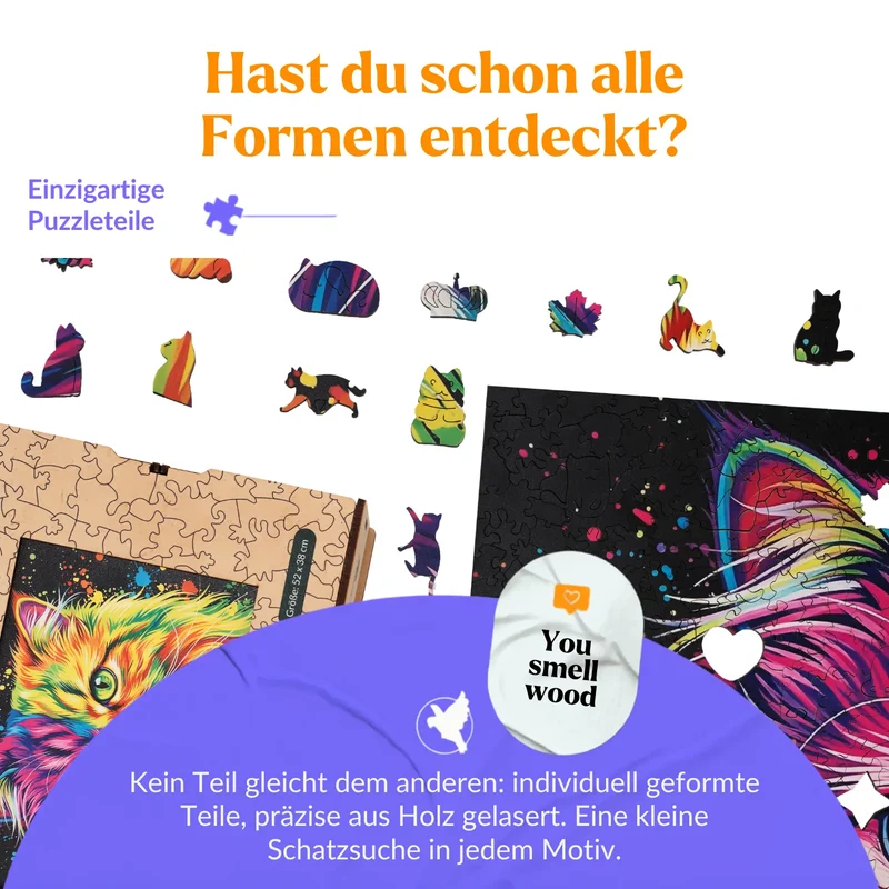 Bunte Perserkatze