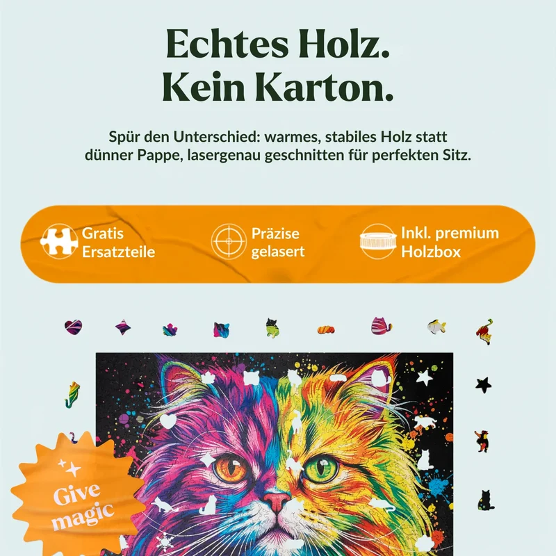 Bunte Perserkatze