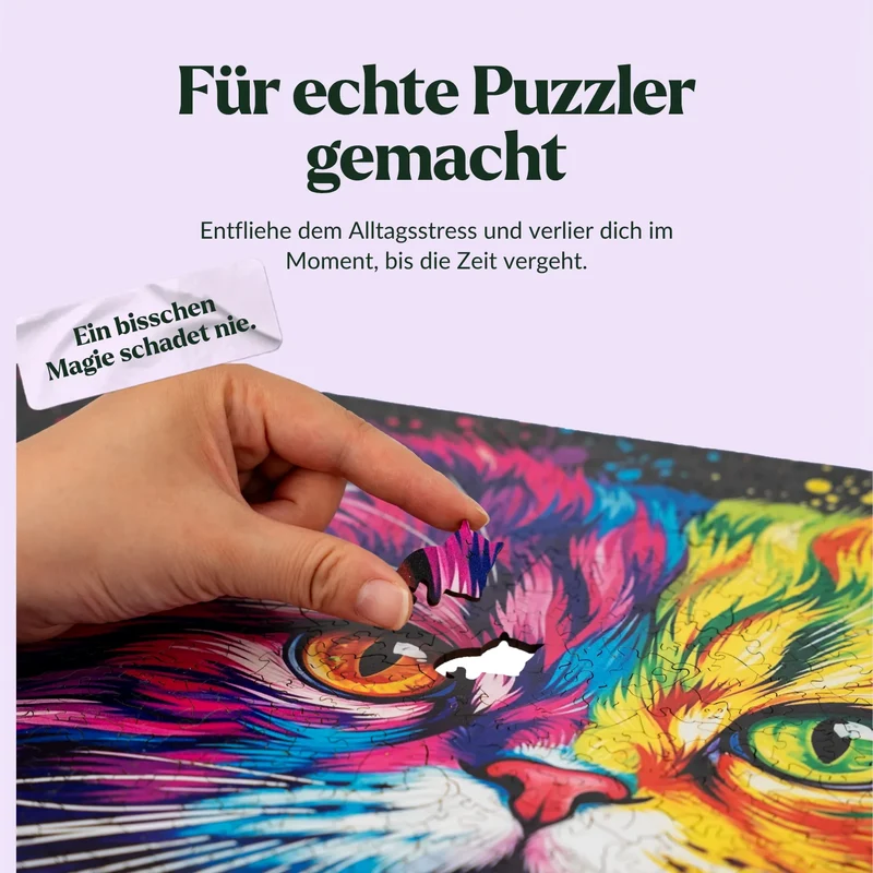 Bunte Perserkatze