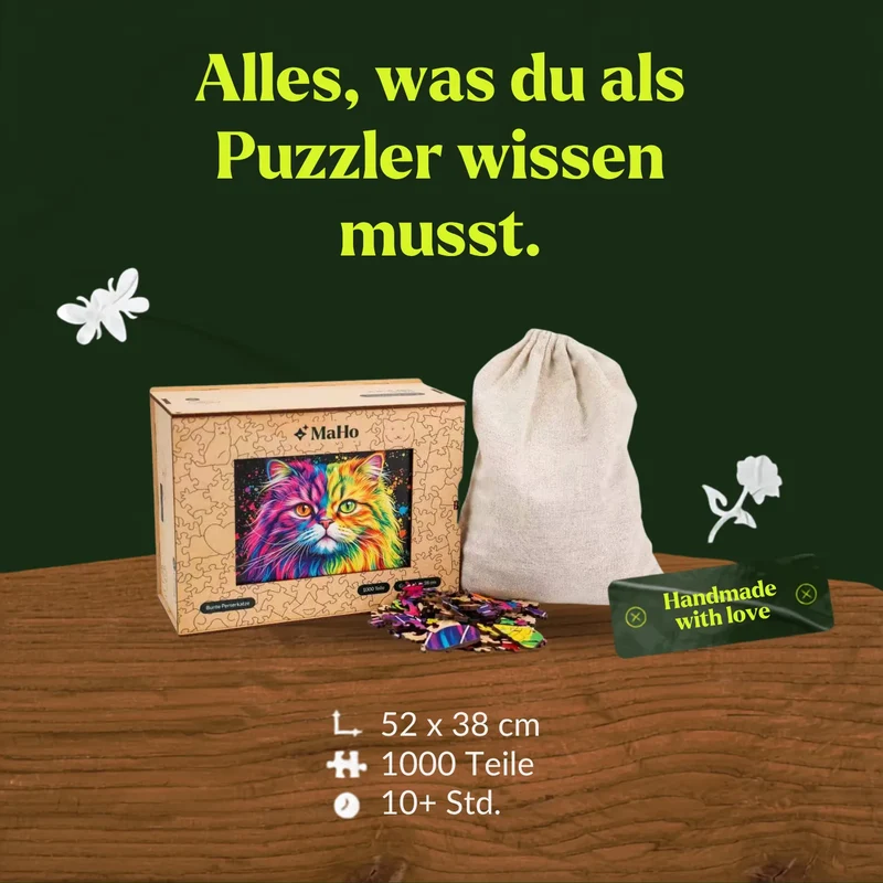Bunte Perserkatze