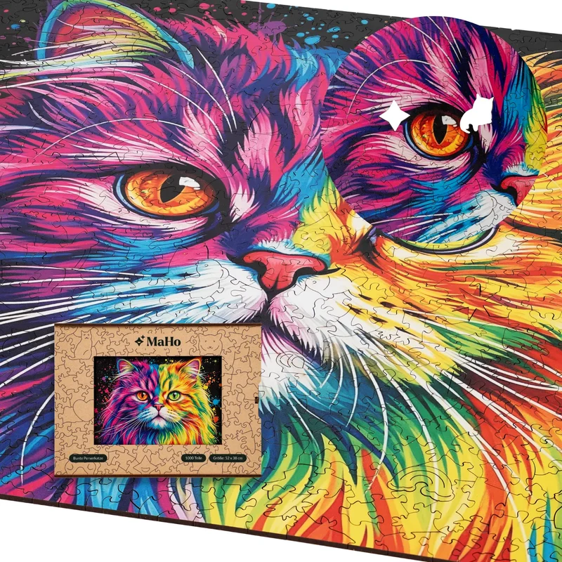 Bunte Perserkatze