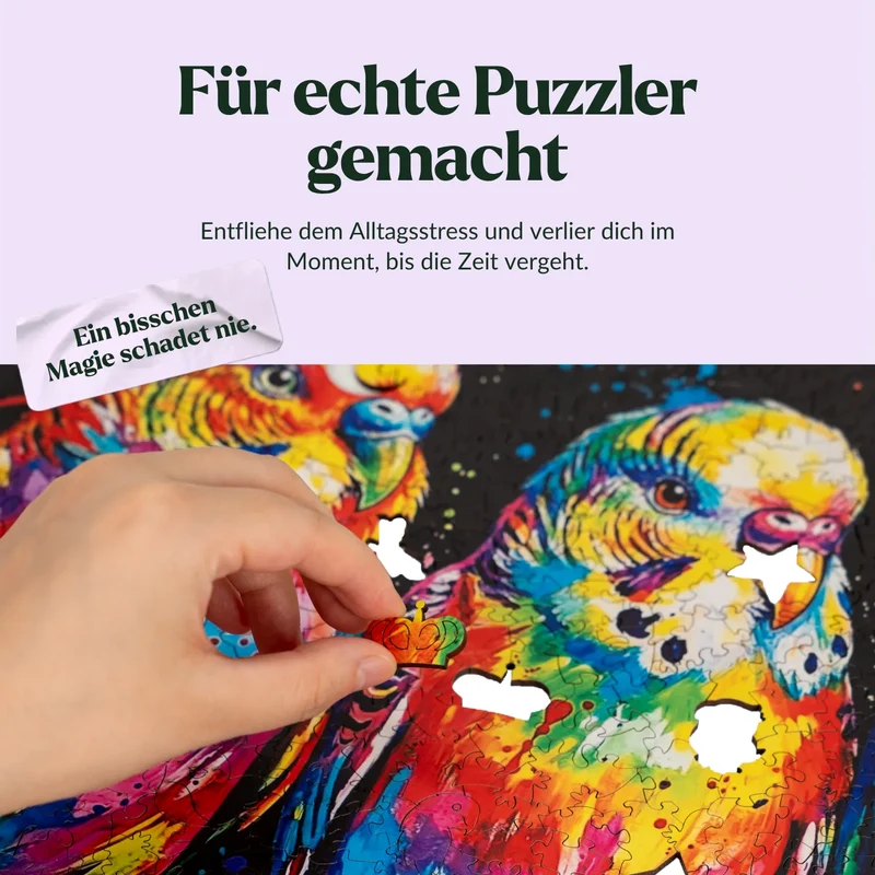 Bunte Wellensittiche