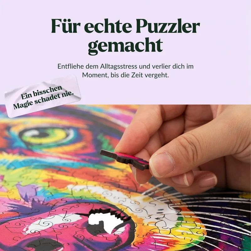 Bunter Dackel