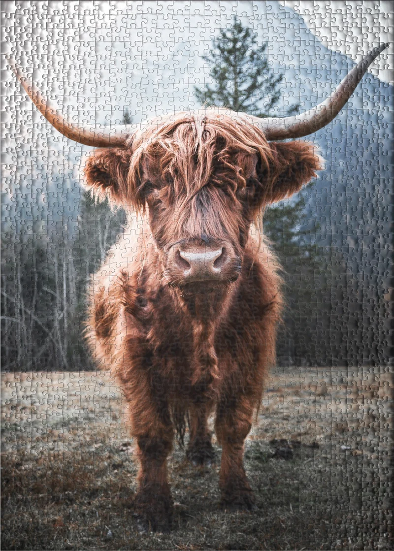 1000 Teile Puzzle Motiv nach eigener Wahl bereits gerahmt, weiß