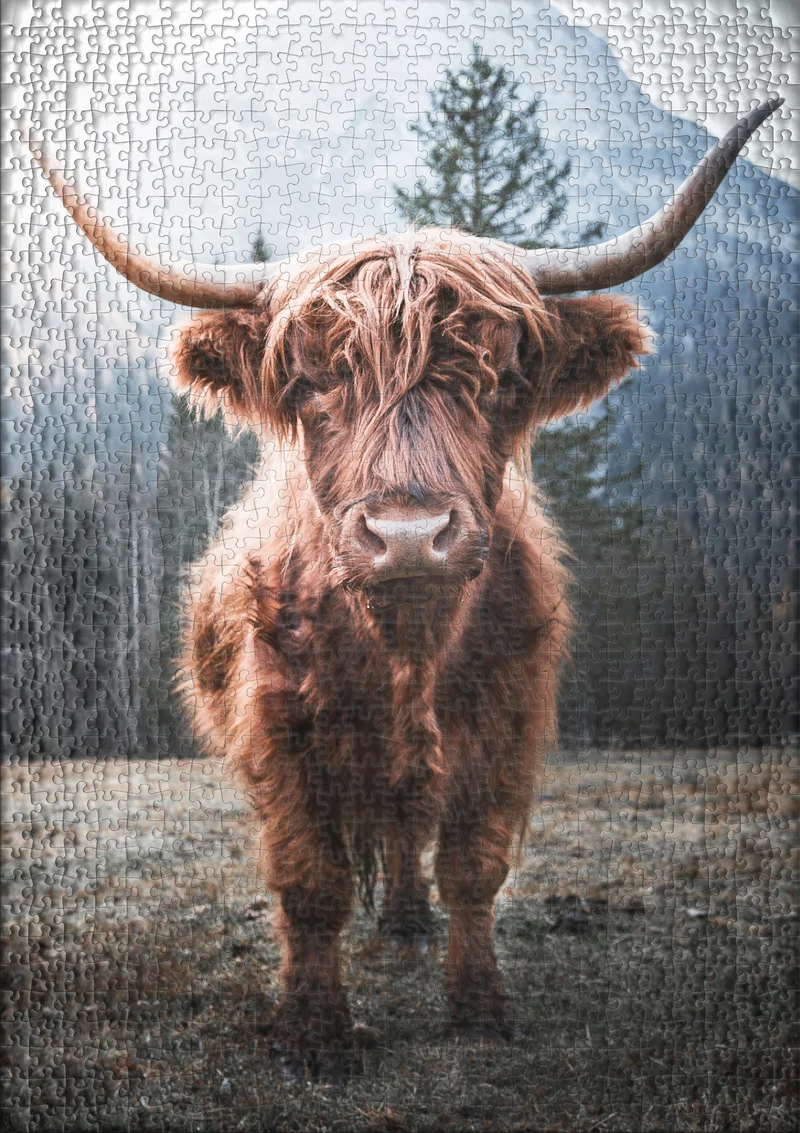 Puzzle 1000 Teile "Hochland"