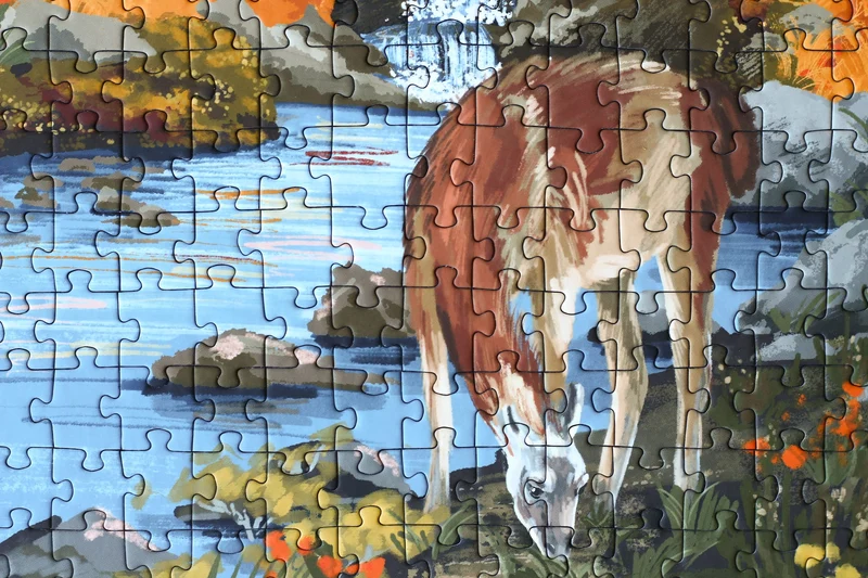 Piecely Patagonia Puzzle, 500 Teile