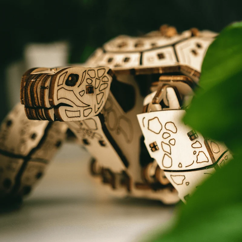 Schildkröten-Reise — Muttertags-Bausatz mit Mechanik