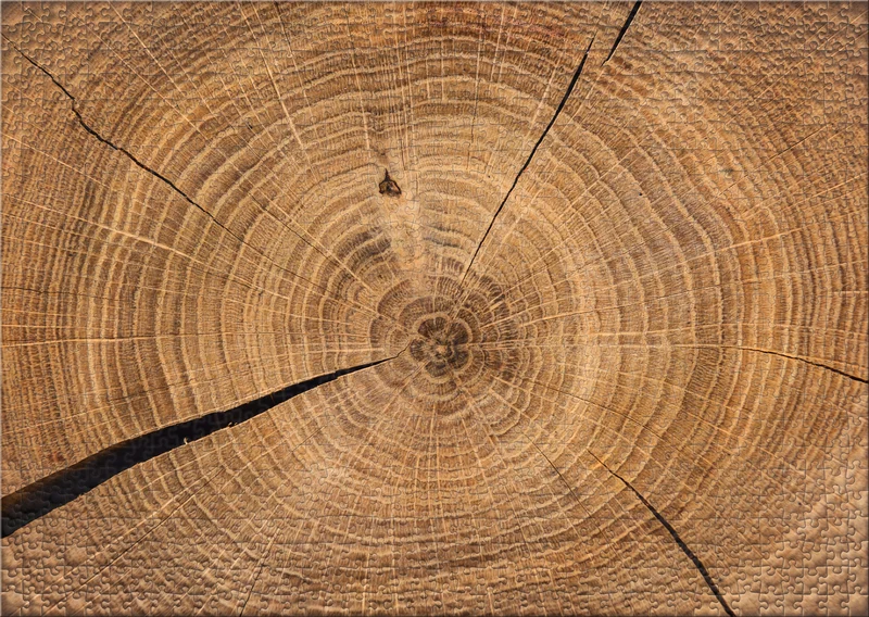 1000 Teile Impossible Puzzle "Holzchronik"