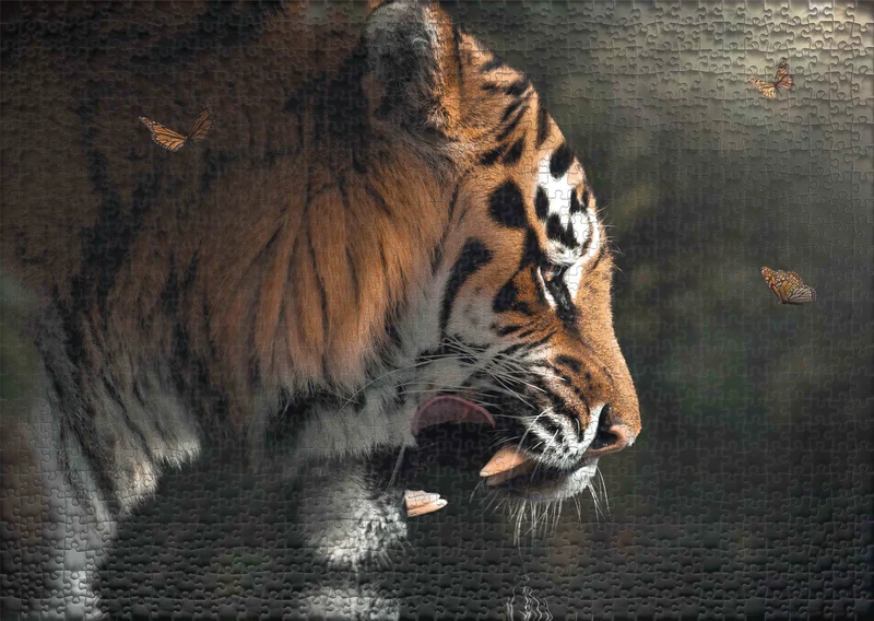 Puzzle 1000 Teile "Auge in Auge" - Tiger & Schmetterling