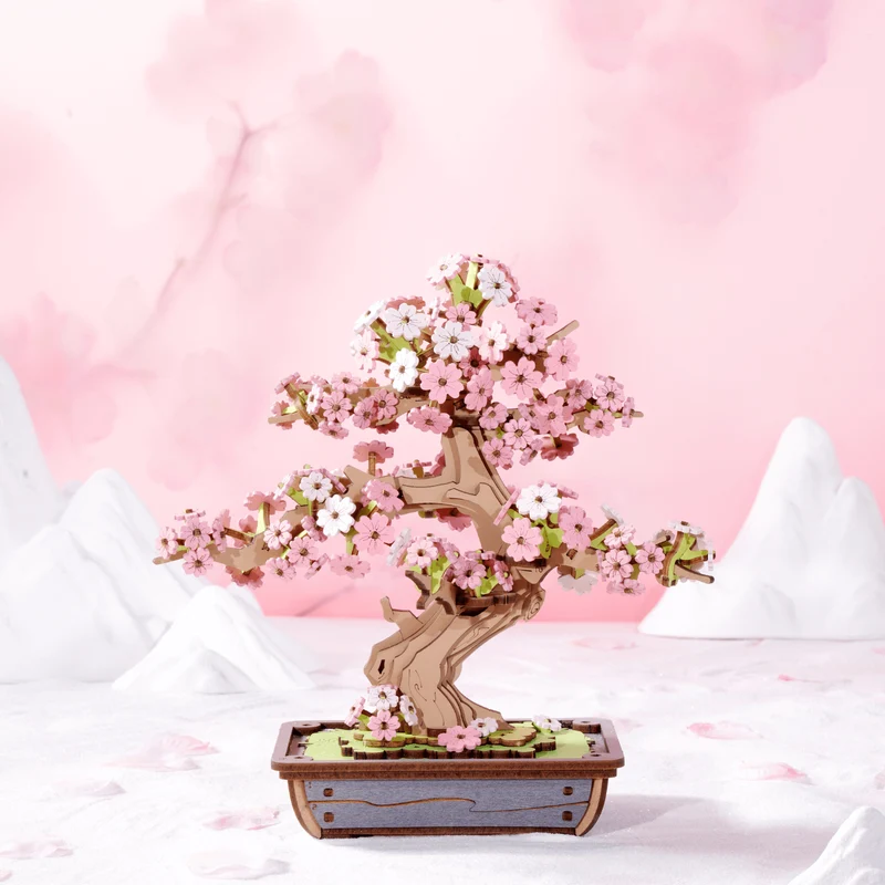 Bonsai Sakura & Kiefern