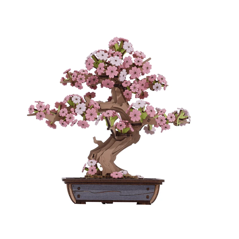 Bonsai Sakura & Kiefern