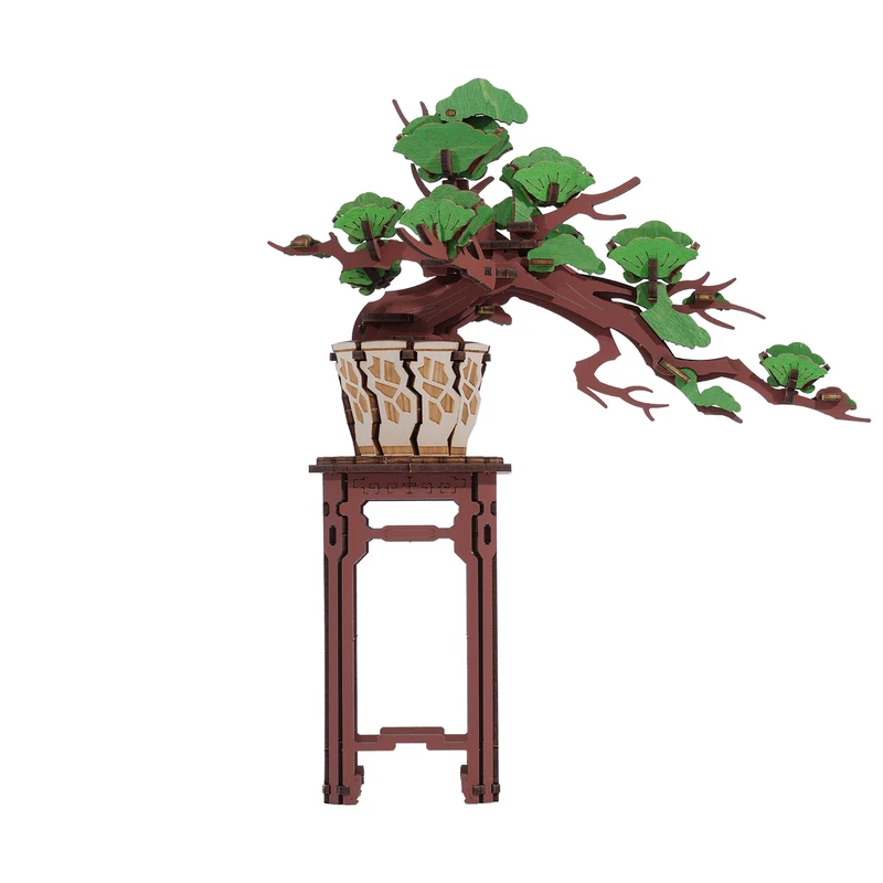 Bonsai Sakura & Kiefern