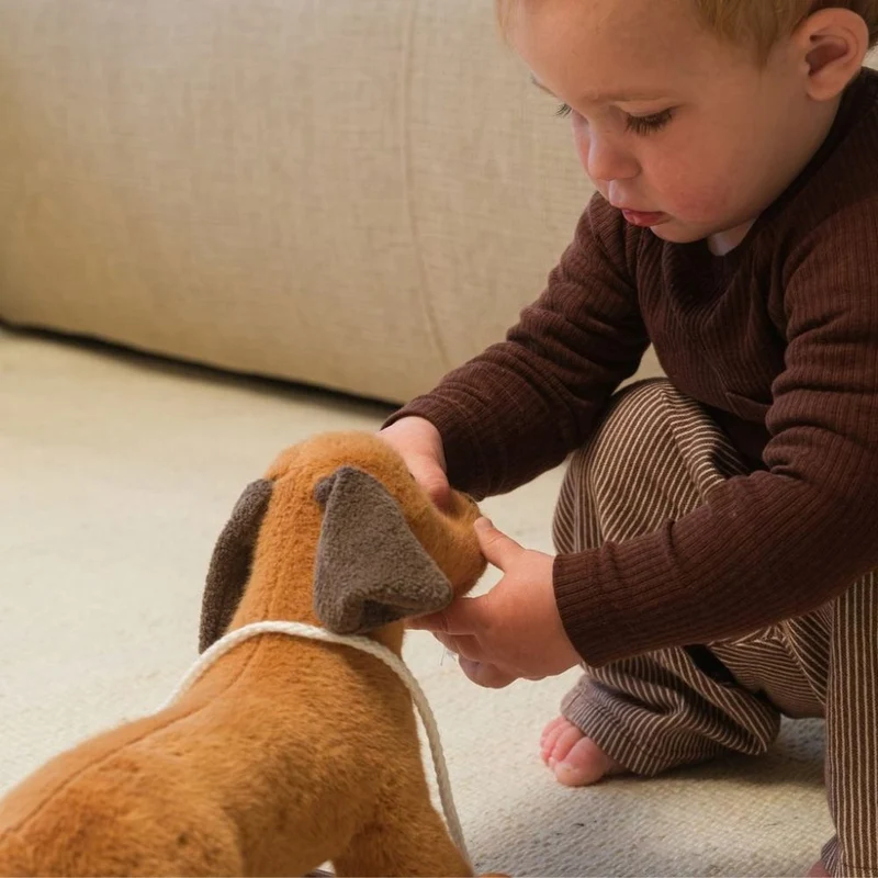 Nachziehspielzeug - Plüschhund Edward auf Holzrädern