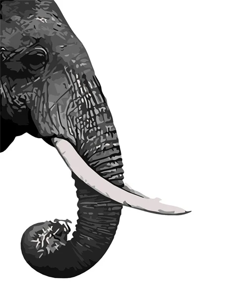 MALEN NACH ZAHLEN | ELEFANT PROFIL