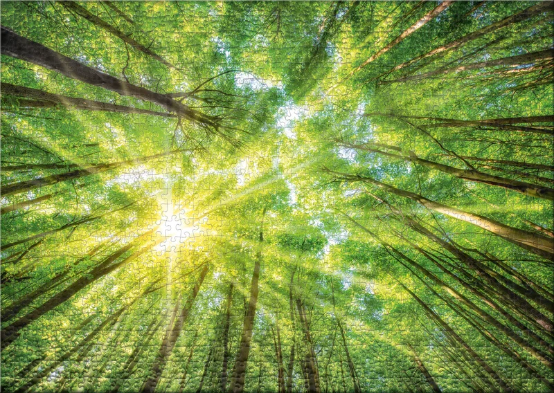 Puzzle 1000 Teile "Licht und Schatten"