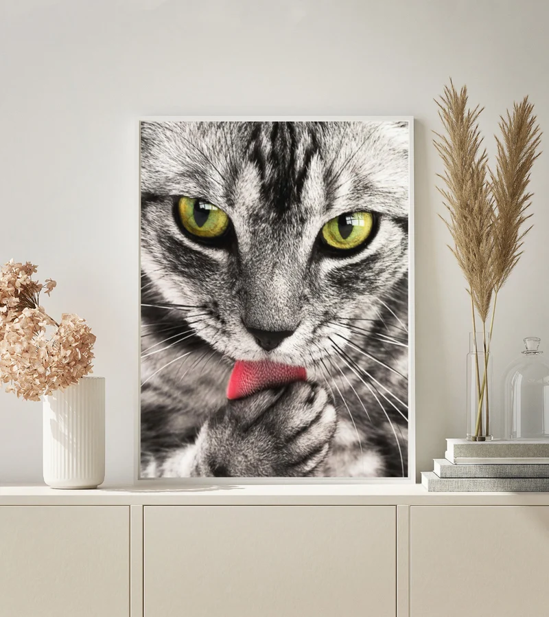 MALEN NACH ZAHLEN | GRAUE KATZE