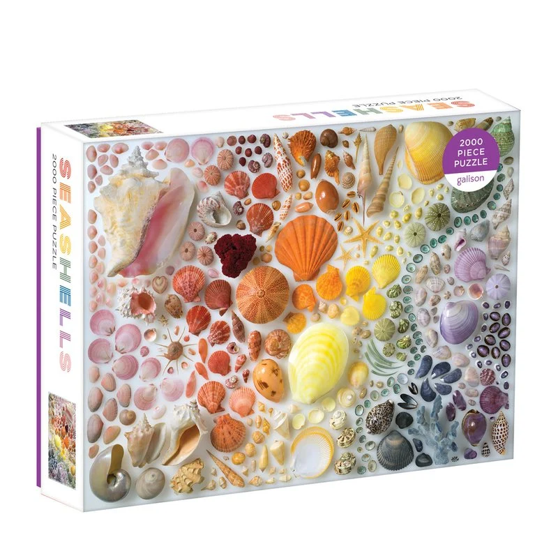 Rainbow Seashells (2000pcs)
