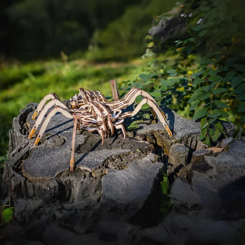 Spinne Mechanisch