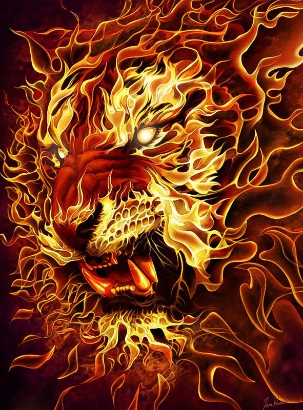 DIAMOND PAINTING | FEUER LÖWE