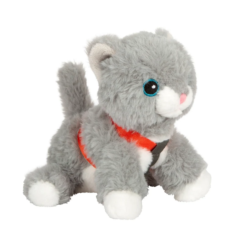 Katze mit Tasche und Pflege-Set