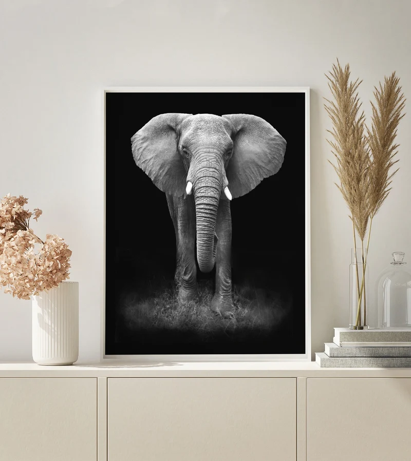MALEN NACH ZAHLEN | ELEFANT SCHWARZ WEISS