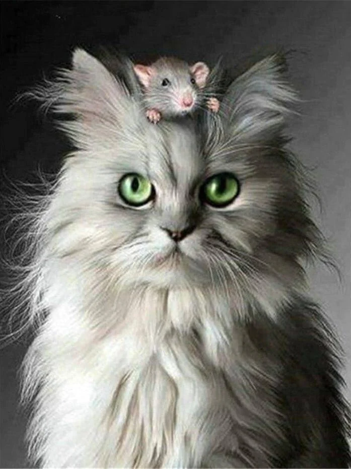 DIAMOND PAINTING | KATZE UND MAUS