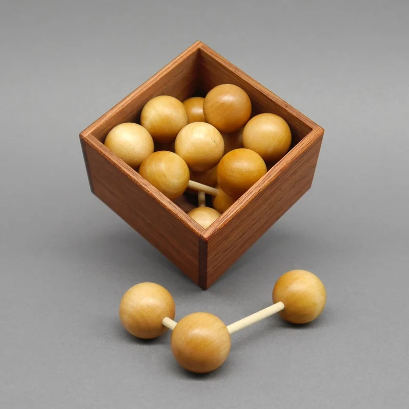 EULER NOT FOR DUMMIES - premium Puzzle
