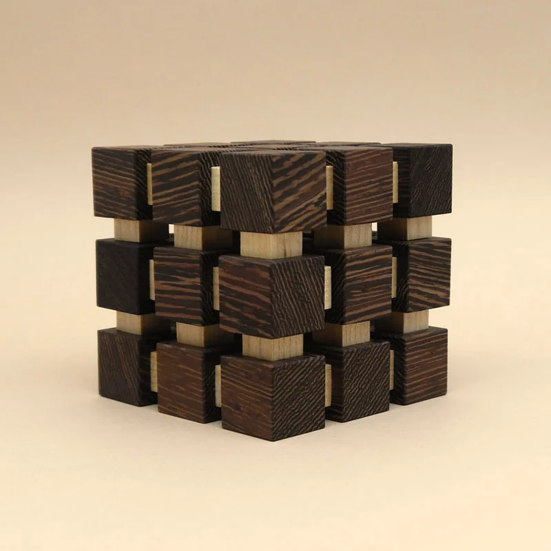 SOCIAL DISTANCE SOMA CUBE - tolles Puzzle