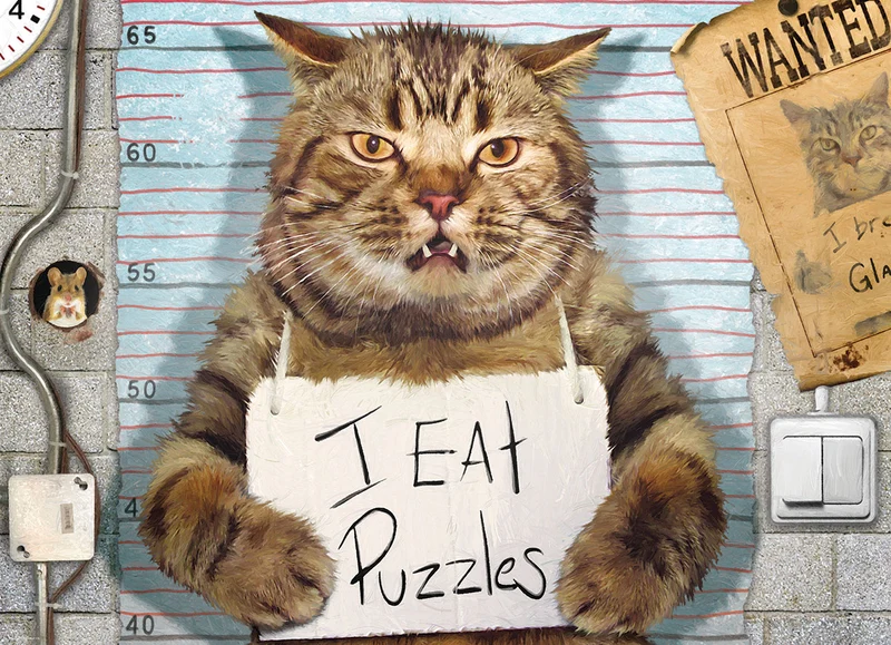 Felony Cat
