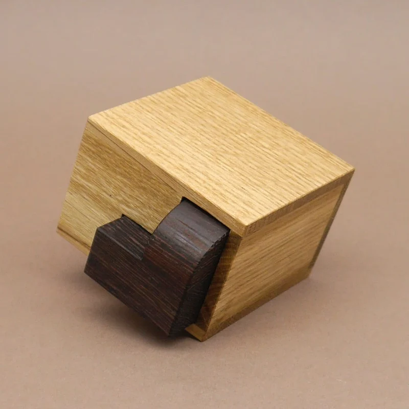 PETIT ALBERT - brillantes Holzpuzzle