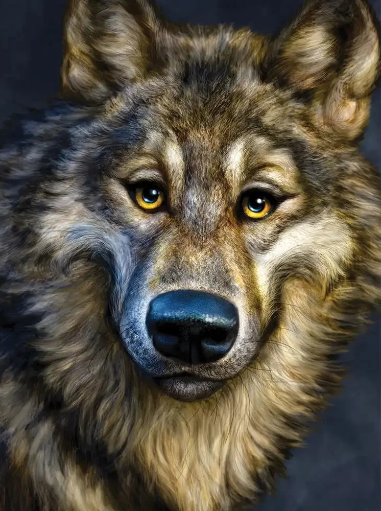 Winsome Wolf