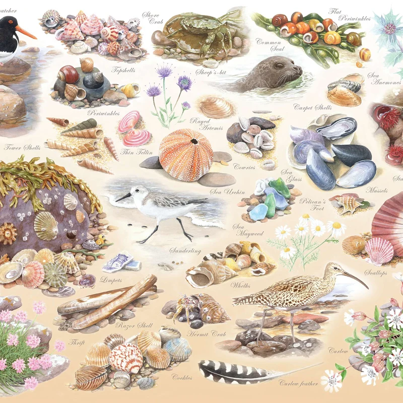 Sea Shore BIG 500 Jigsaw Puzzle