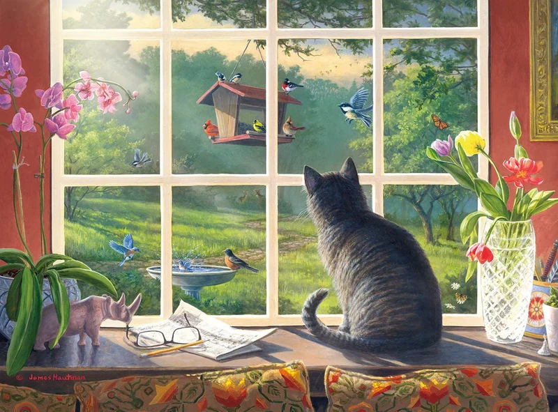 Bird Watching