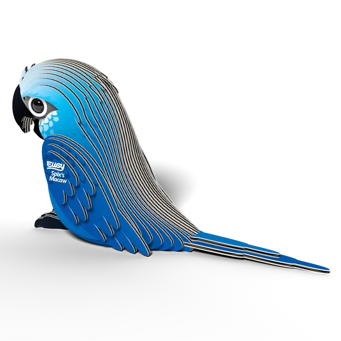 Eugy - 3D Bastelset Spixara