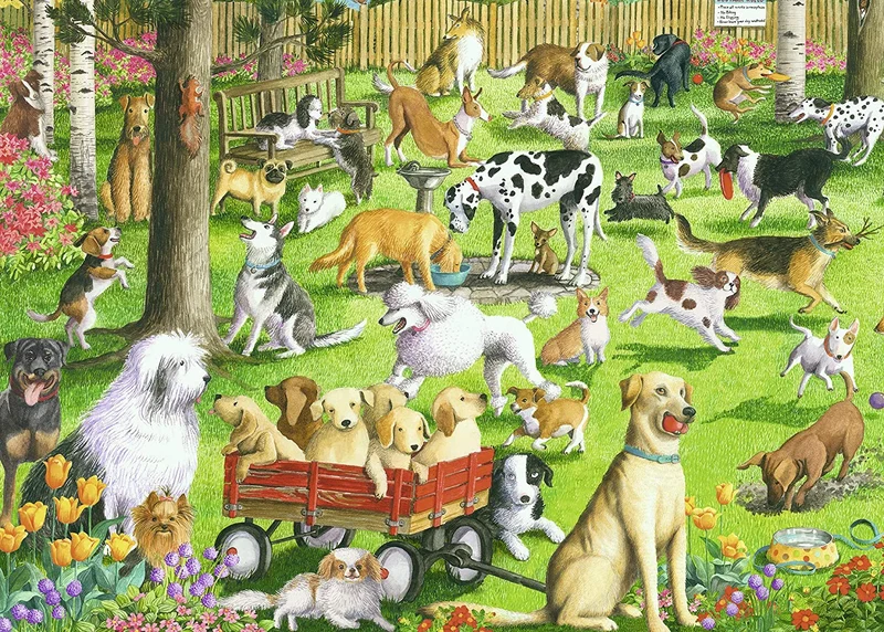 At the Dog Park