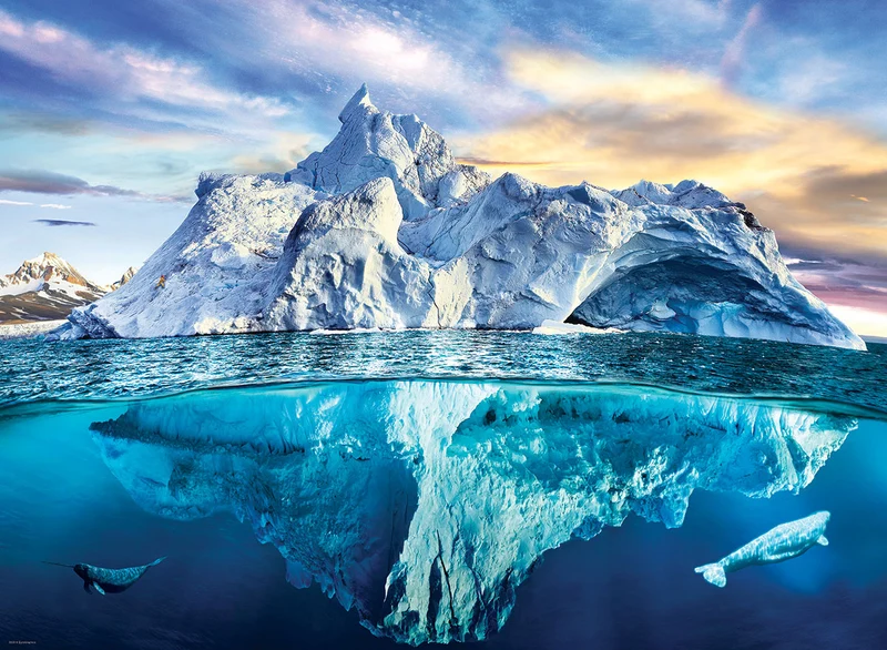 Artic
