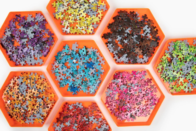 The Puzzle Sorter