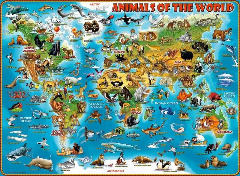 PFG Ravensburger Animals of the World (300 XXL) (Usage/Used - PUZZLES FOR GOOD)