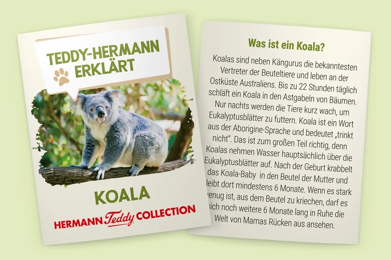 Teddy-Hermann Koalabär 21cm – realistisches Kuscheltier