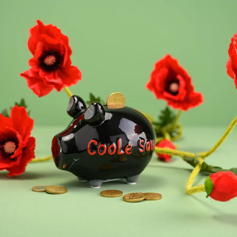 Sparschwein, Coole Sau