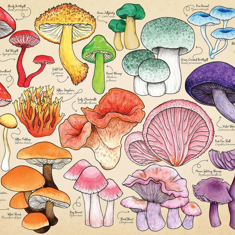 Mushroom Mania 150 Piece Mini Jigsaw Puzzle in a Tube