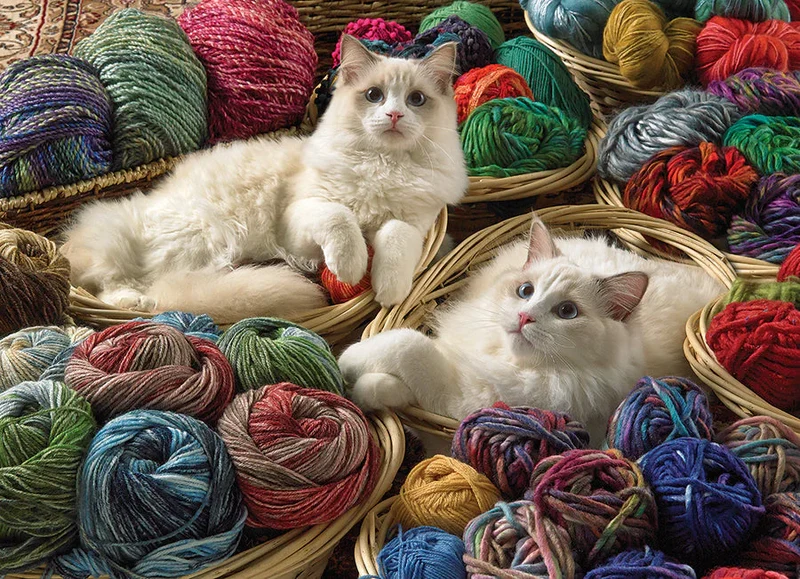 Ragdolls