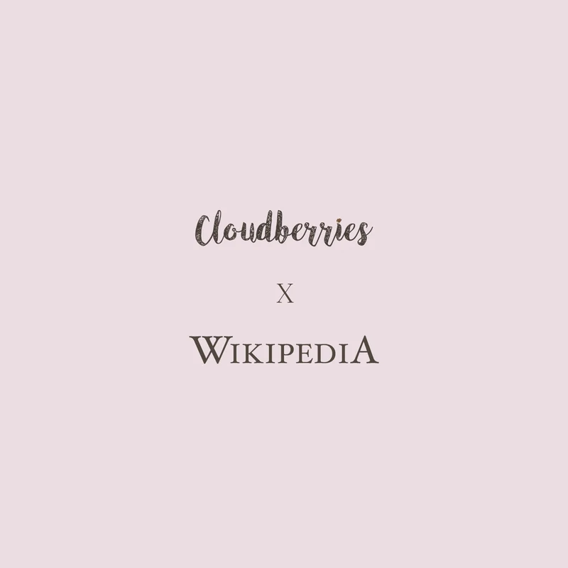 Wikipedia® 25 Puzzle (Limited Edition)