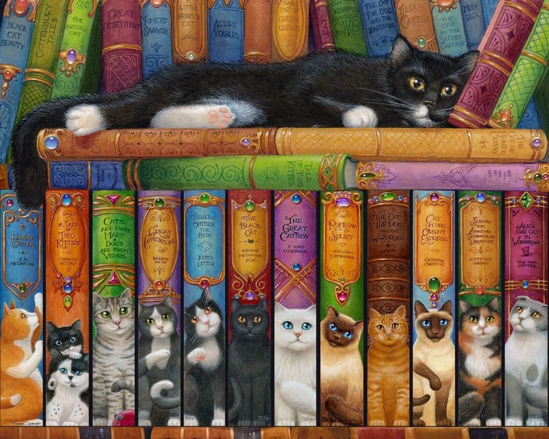 Bookshelf Cat