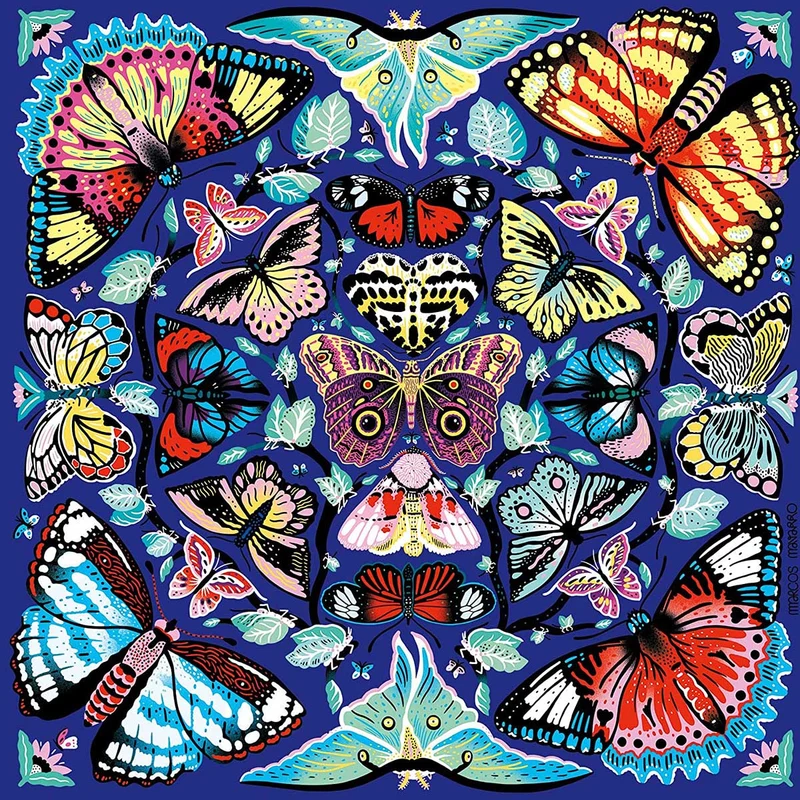 Kaleido - Butterflies