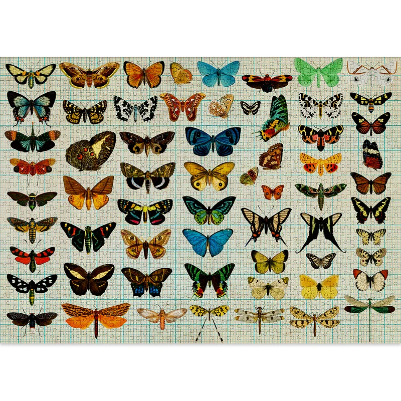 Entomology Jigsaw Puzzle (1000 pieces)