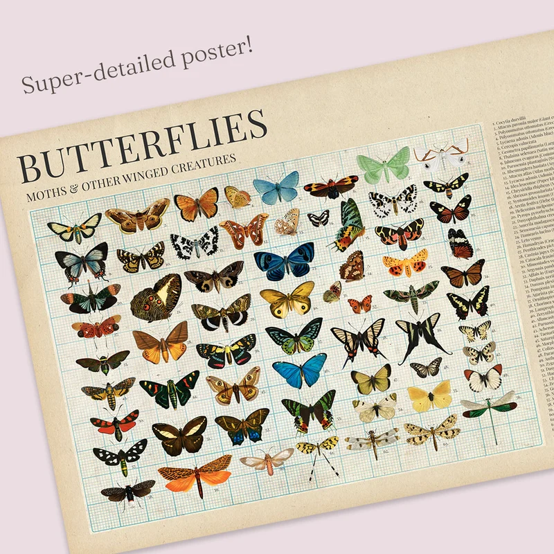 Entomology Jigsaw Puzzle (1000 pieces)