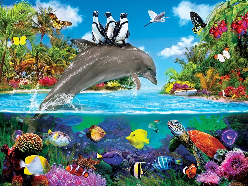 Dolphin Ride