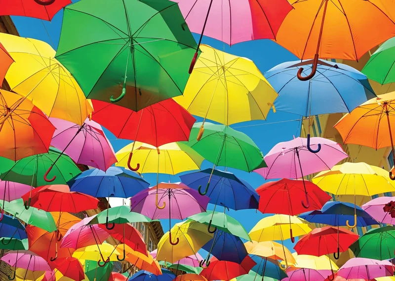 All the Umbrellas